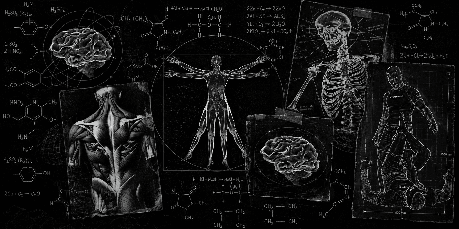 Peptide Research